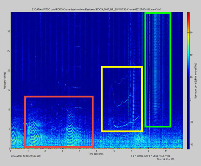 Spectrogram with boxes showing different calls