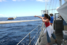 Hawaii Julie spotting whales