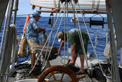 Coiling the array for whale monitoring